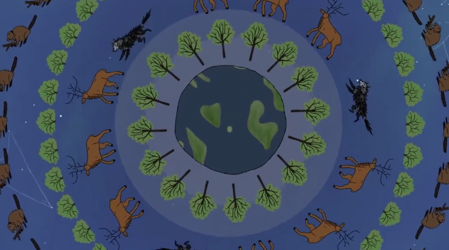 still from Jack Wolfskin and Water Bear