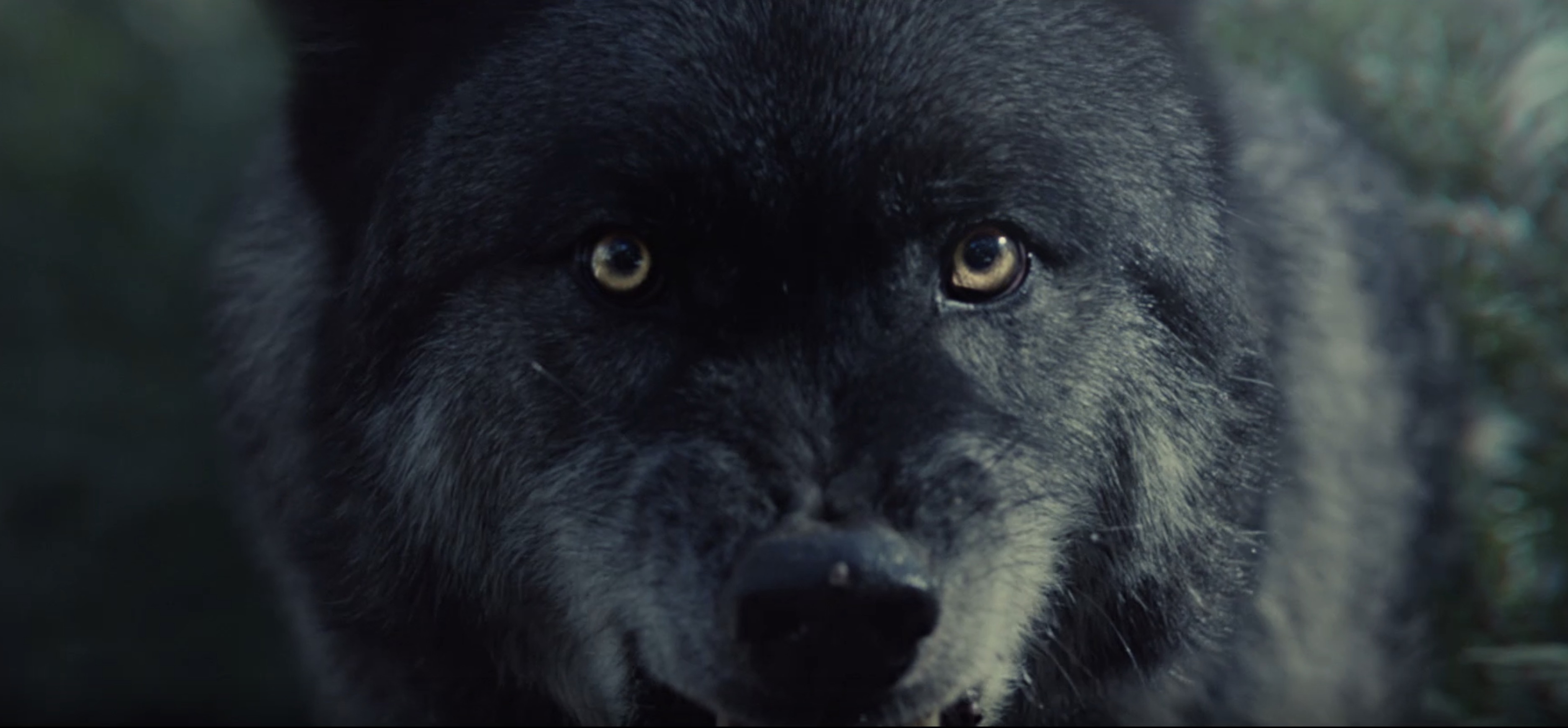 still from Sky The Chasing